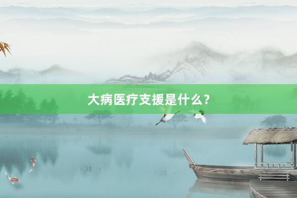 大病医疗支援是什么？