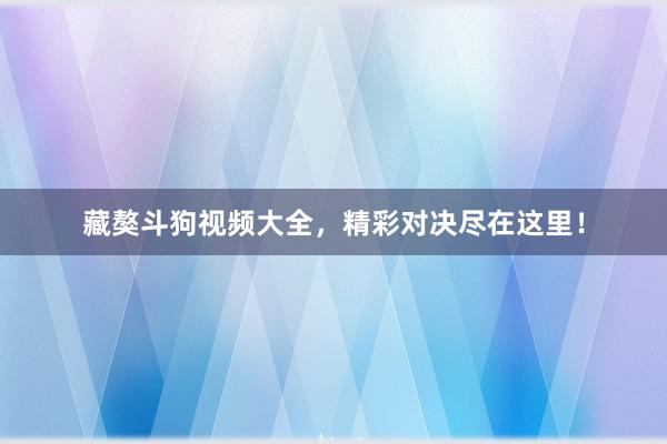 藏獒斗狗视频大全，精彩对决尽在这里！